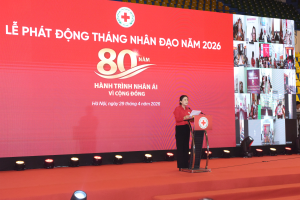 Hình nhỏ