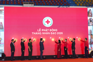 Hình nhỏ