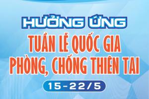 Hình nhỏ