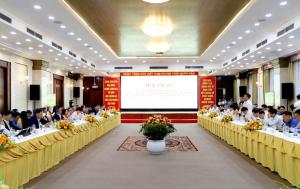 Hình nhỏ