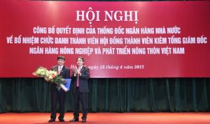 Hình nhỏ
