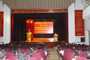 Hình nhỏ