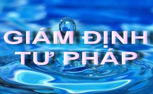Hình nhỏ
