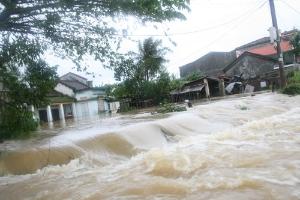 Hình nhỏ