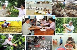 Hình nhỏ