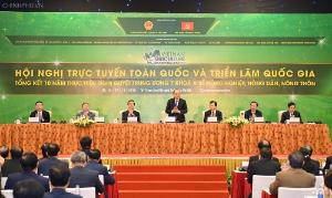 Hình nhỏ