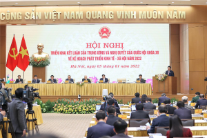 Hình nhỏ