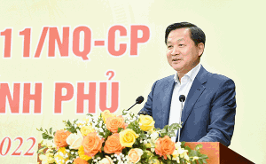 Hình nhỏ