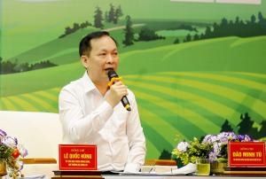 Hình nhỏ
