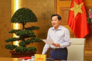 Hình nhỏ