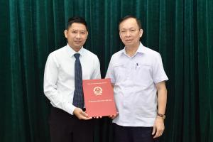 Hình nhỏ