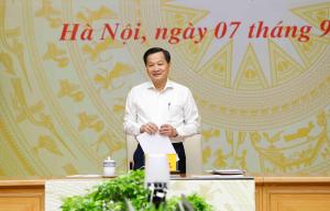 Hình nhỏ