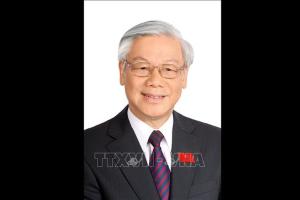 Hình nhỏ