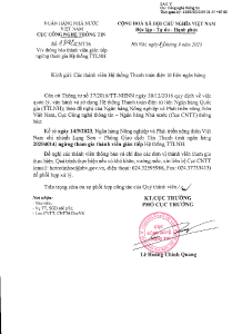 Hình nhỏ