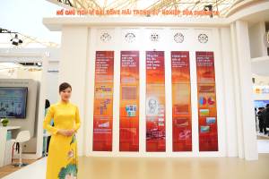 Hình nhỏ