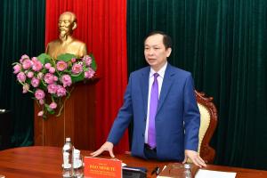 Hình nhỏ