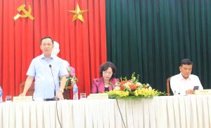 Hình nhỏ