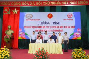 Hình nhỏ