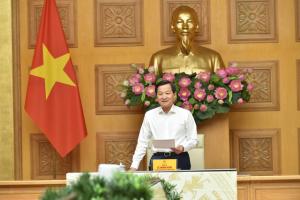 Hình nhỏ