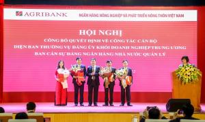 Hình nhỏ
