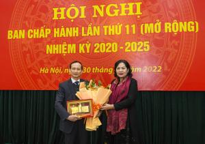 Hình nhỏ