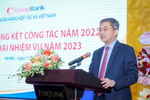 Hình nhỏ