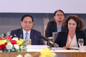 Hình nhỏ