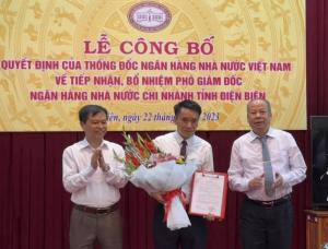 Hình nhỏ