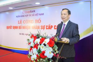 Hình nhỏ
