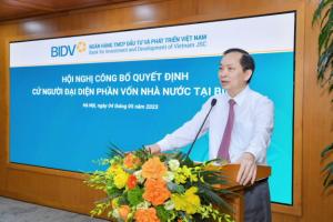 Hình nhỏ