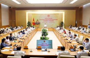 Hình nhỏ
