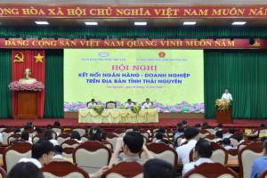 Hình nhỏ
