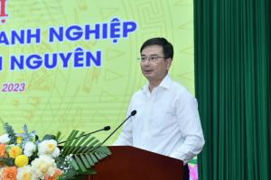 Hình nhỏ