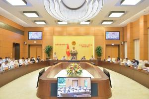 Hình nhỏ