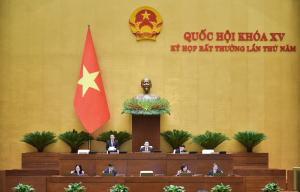 Hình nhỏ