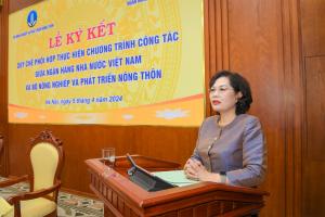 Hình nhỏ