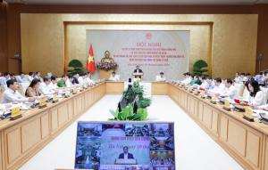 Hình nhỏ