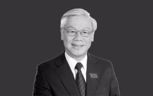 Hình nhỏ