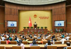 Hình nhỏ