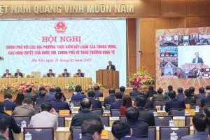Hình nhỏ