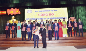 Hình nhỏ