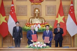 Hình nhỏ