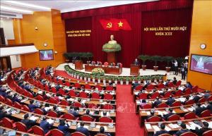 Hình nhỏ