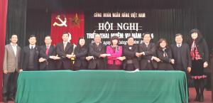 Hình nhỏ