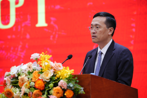 Hình nhỏ