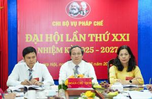 Hình nhỏ