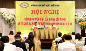 Hình nhỏ