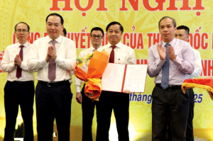 Hình nhỏ