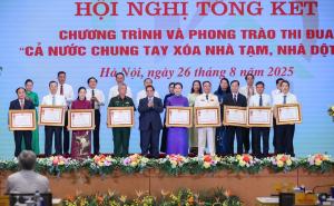 Hình nhỏ