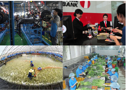 Mô hình đại lý ngân hàng: thực tiễn quốc tế và những khuyến nghị chính sách cho Việt Nam